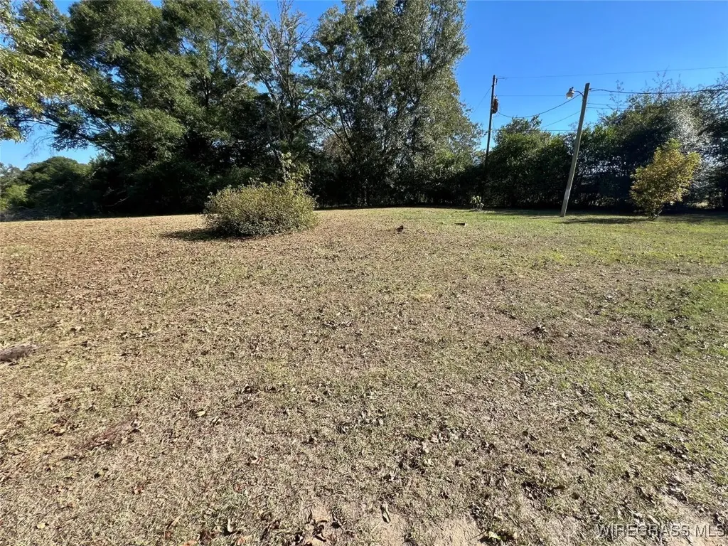 15638 Highway 167 New Brockton AL 36351