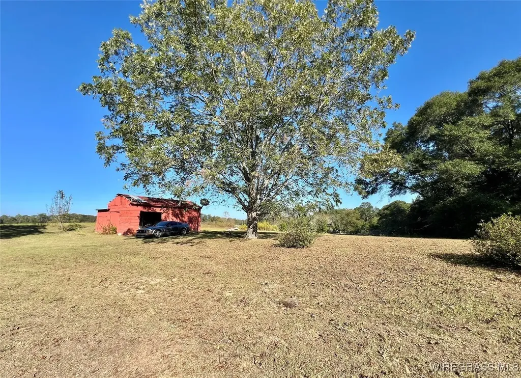 15638 Highway 167 New Brockton AL 36351