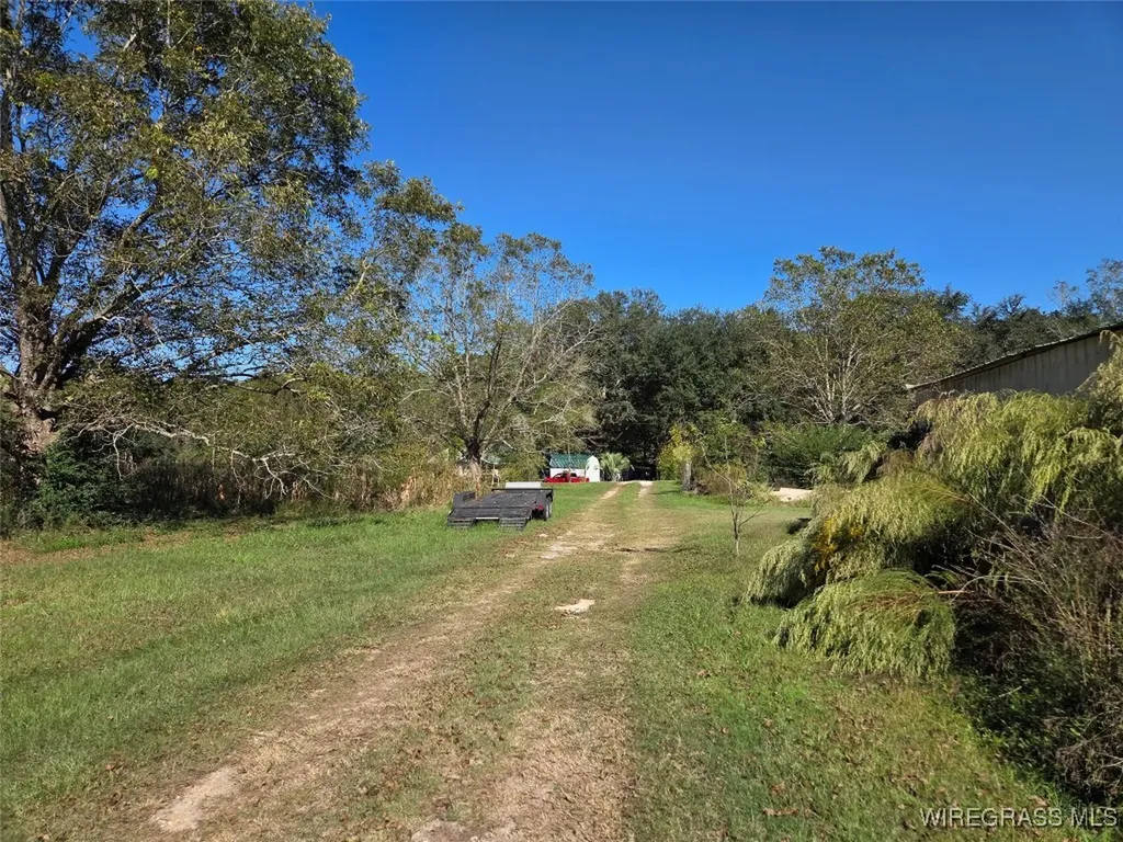 7257 State Highway 153 Samson AL 36477