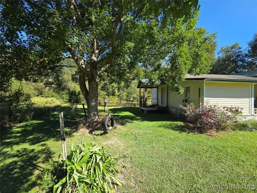 7257 State Highway 153 Samson AL 36477