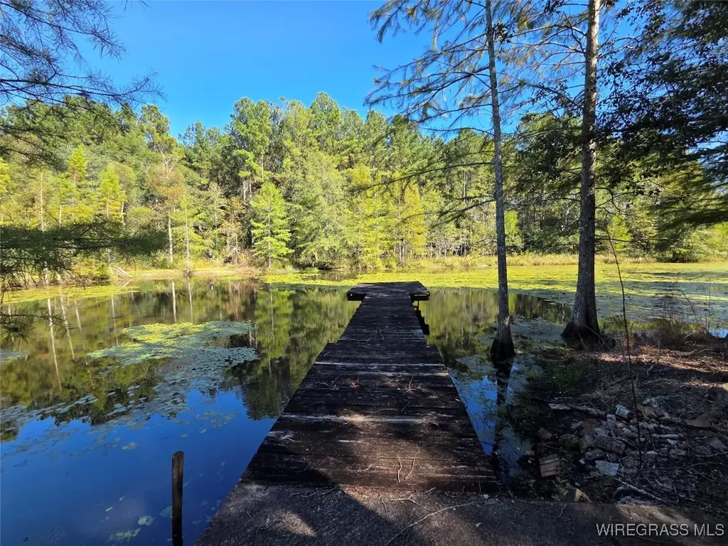 7257 State Highway 153 Samson AL 36477