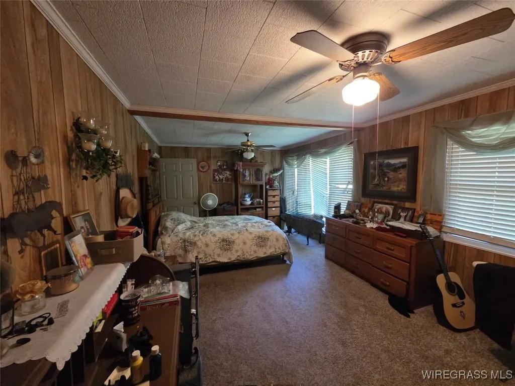 7257 State Highway 153 Samson AL 36477