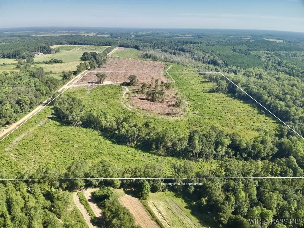 65 Tindil Creek Slocomb AL 36375