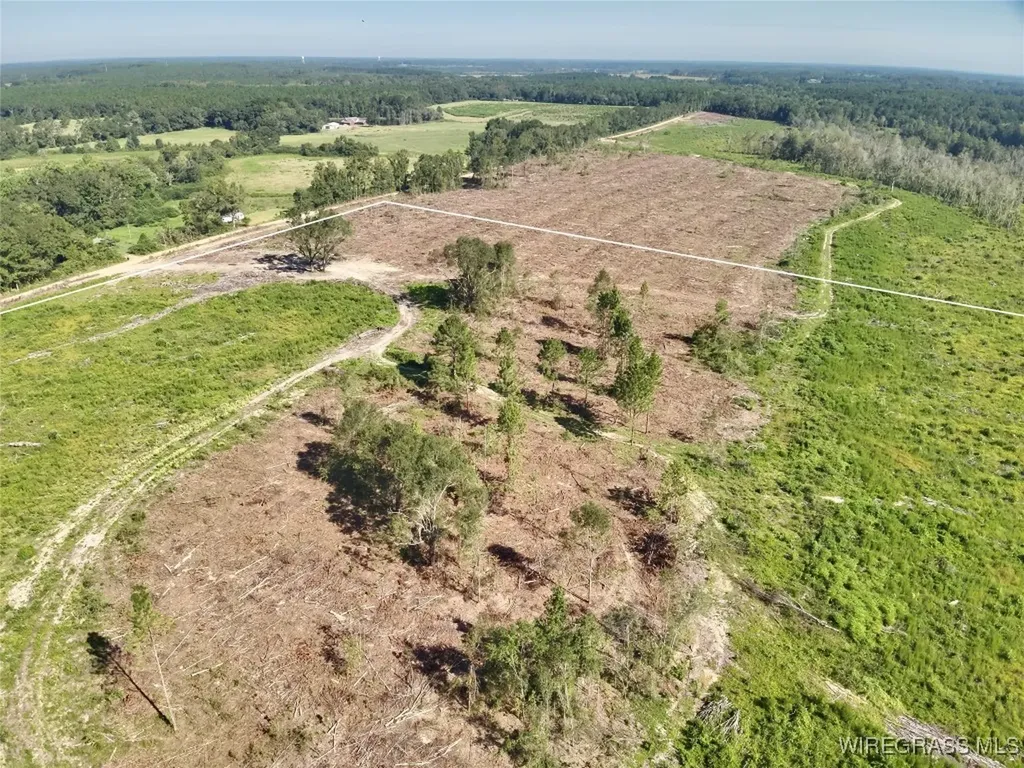 65 Tindil Creek Slocomb AL 36375