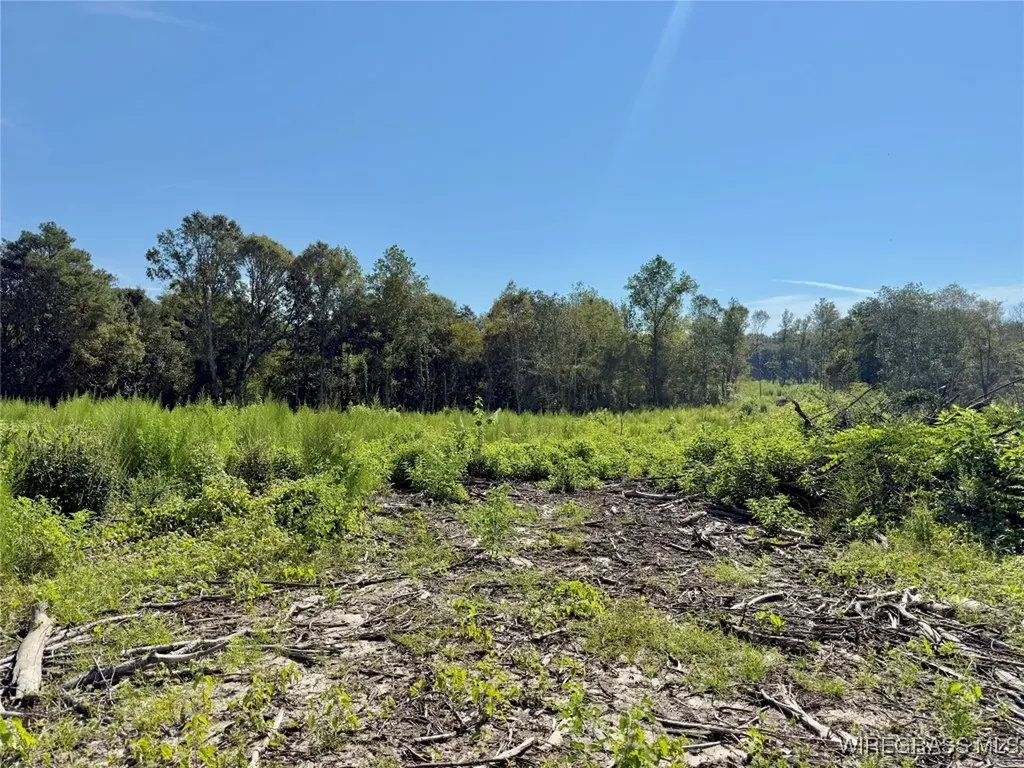 65 Tindil Creek Slocomb AL 36375