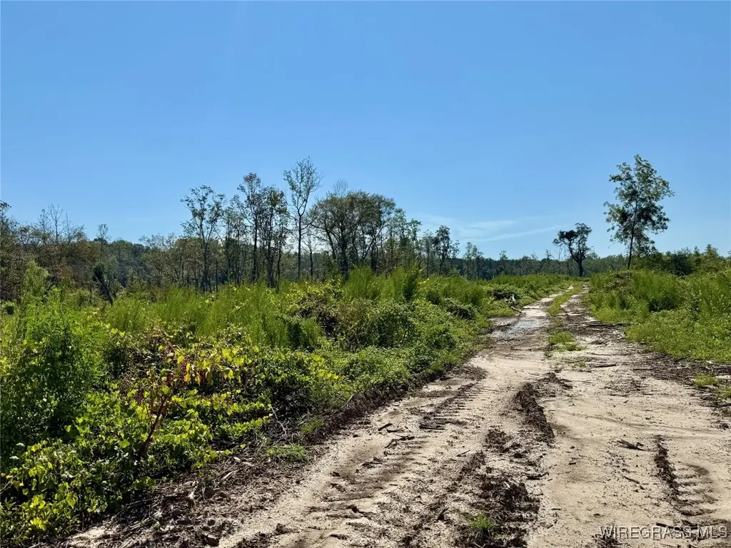 65 Tindil Creek Slocomb AL 36375