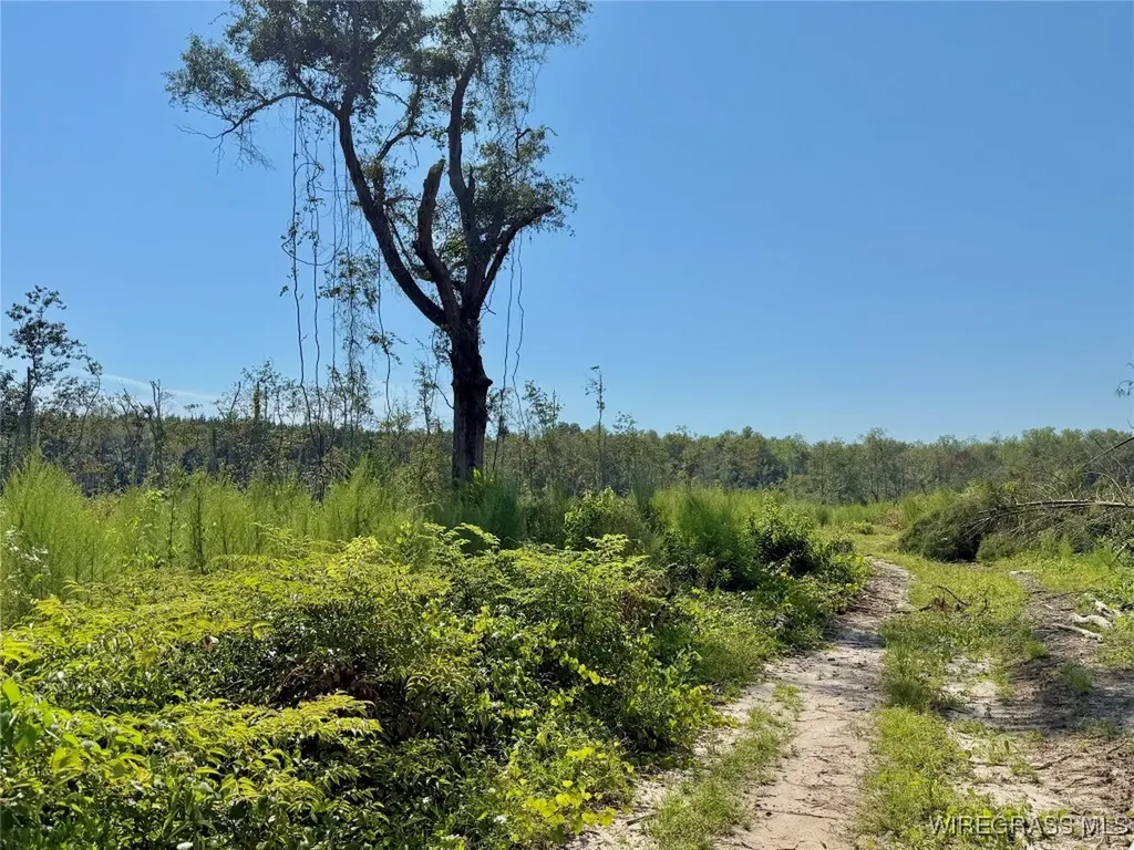 65 Tindil Creek Slocomb AL 36375