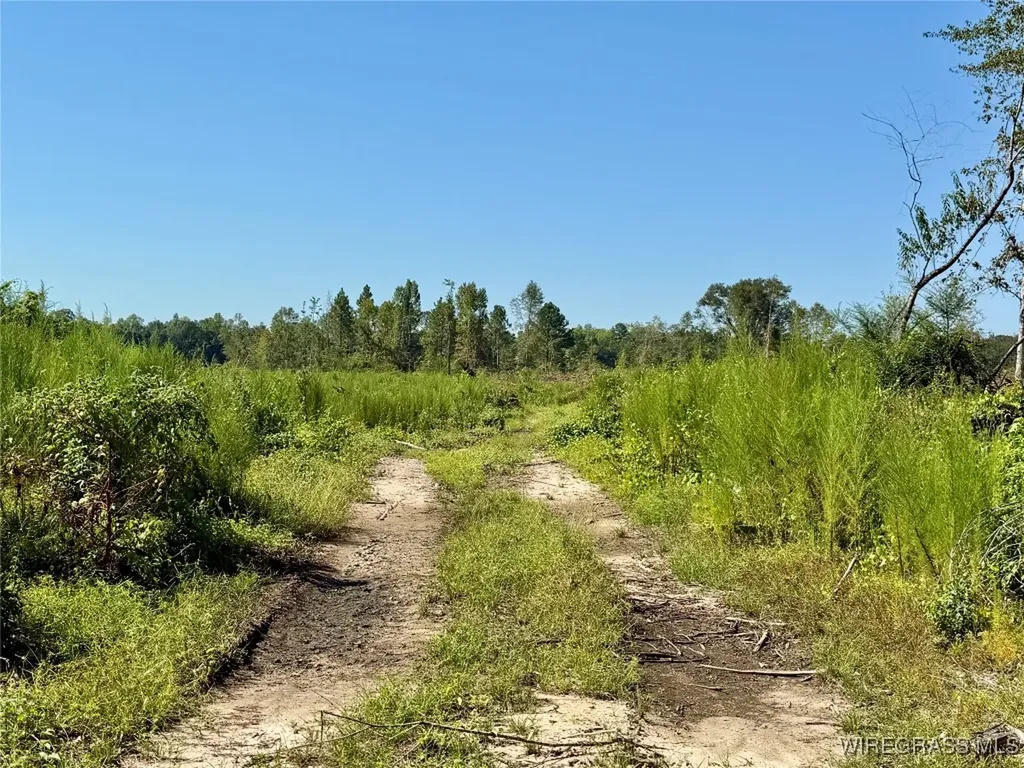 65 Tindil Creek Slocomb AL 36375
