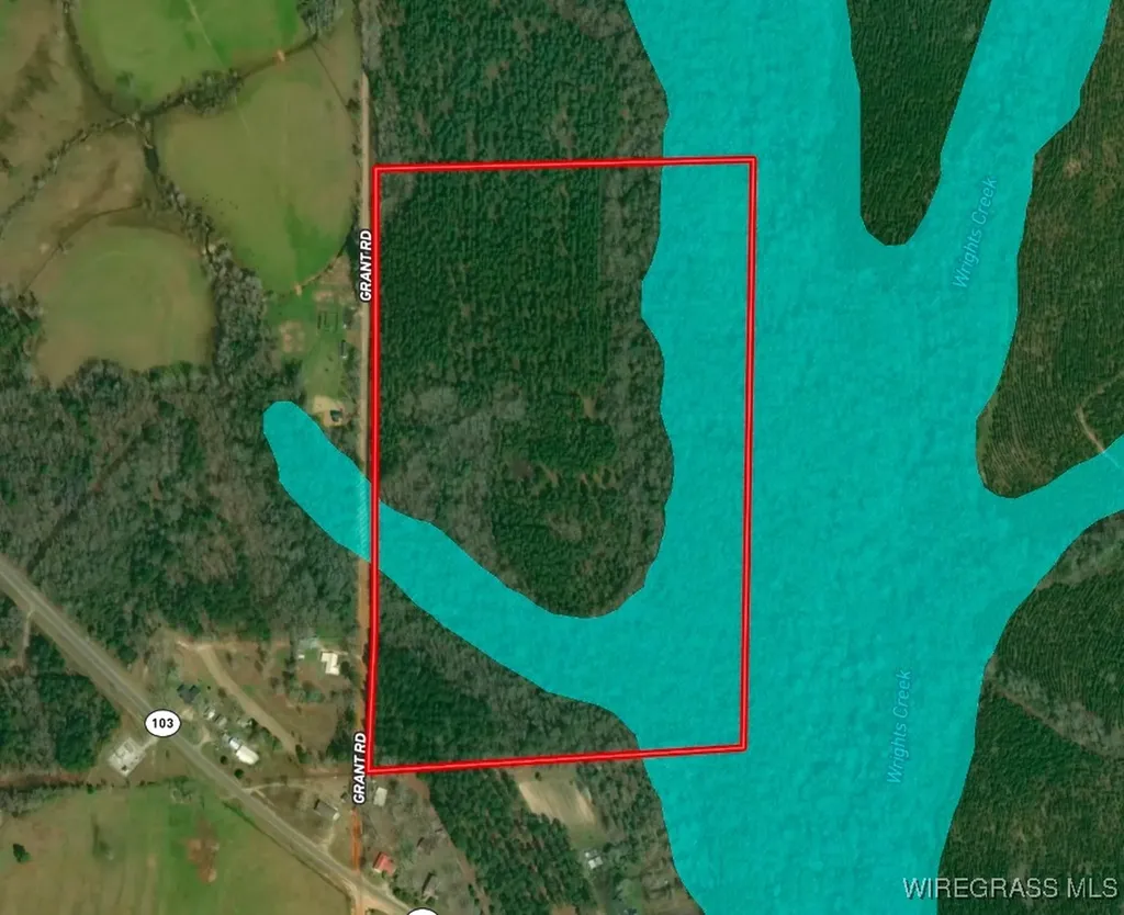 65 Tindil Creek Slocomb AL 36375