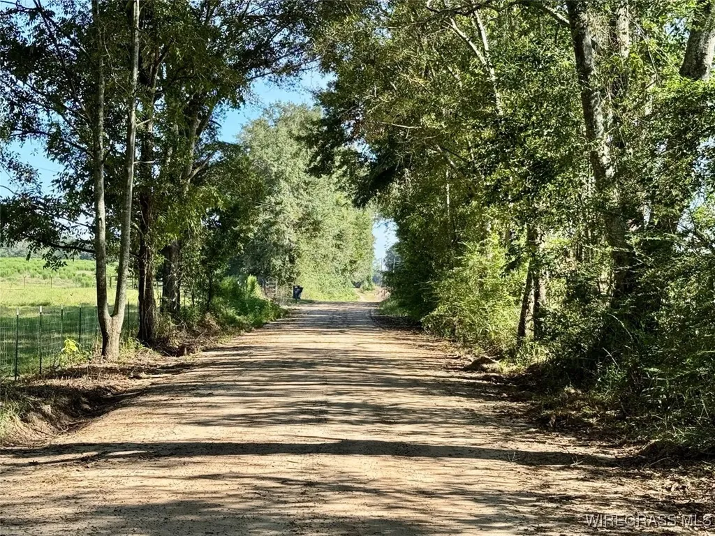 65 Tindil Creek Slocomb AL 36375