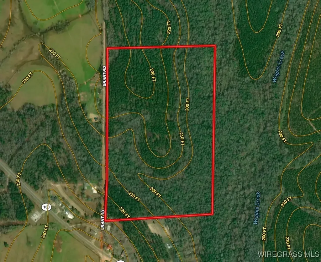 65 Tindil Creek Slocomb AL 36375
