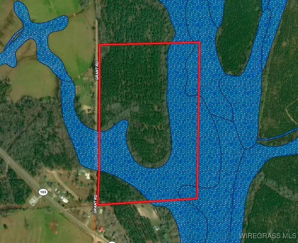 65 Tindil Creek Slocomb AL 36375