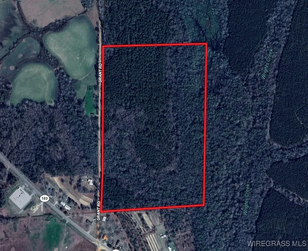 65 Tindil Creek Slocomb AL 36375