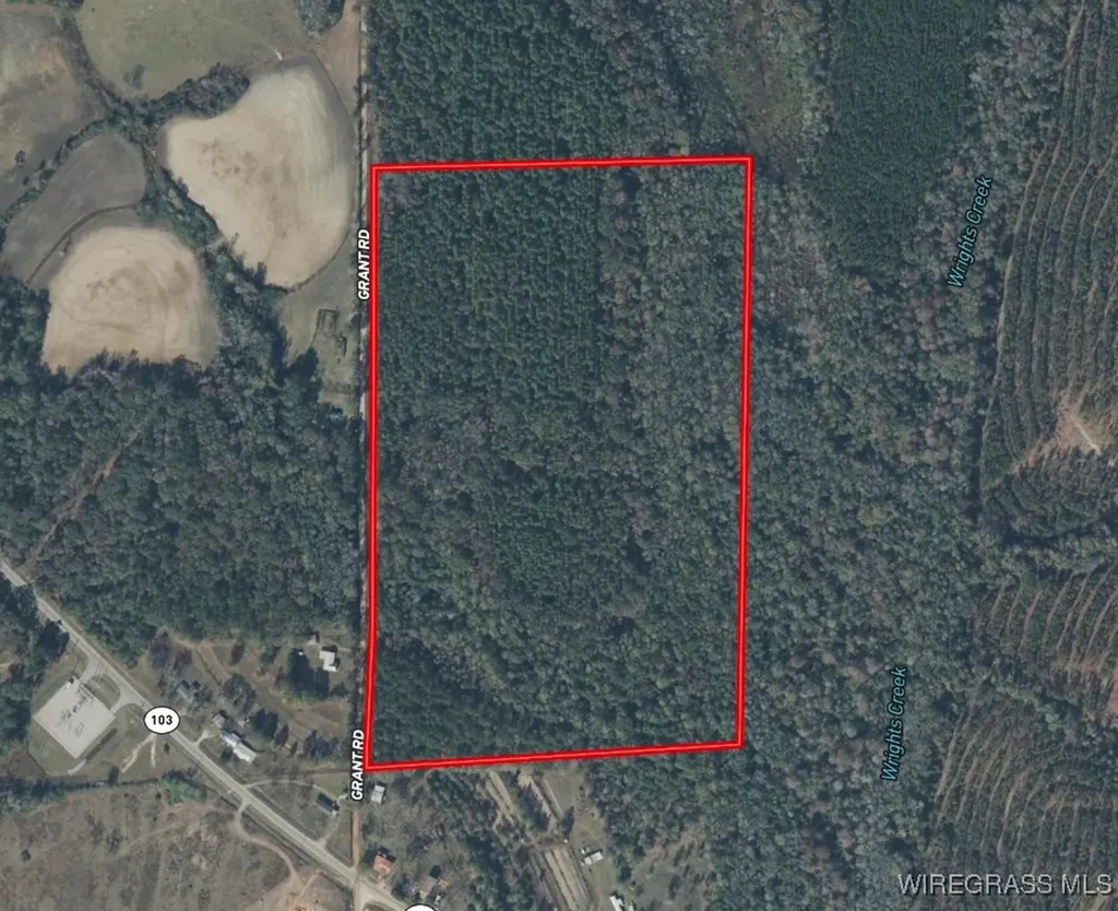 65 Tindil Creek Slocomb AL 36375