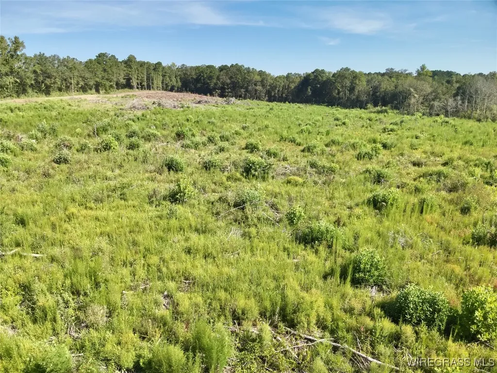 65 Tindil Creek Slocomb AL 36375