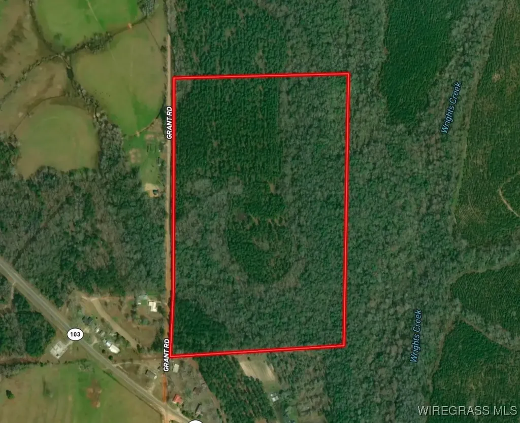 65 Tindil Creek Slocomb AL 36375