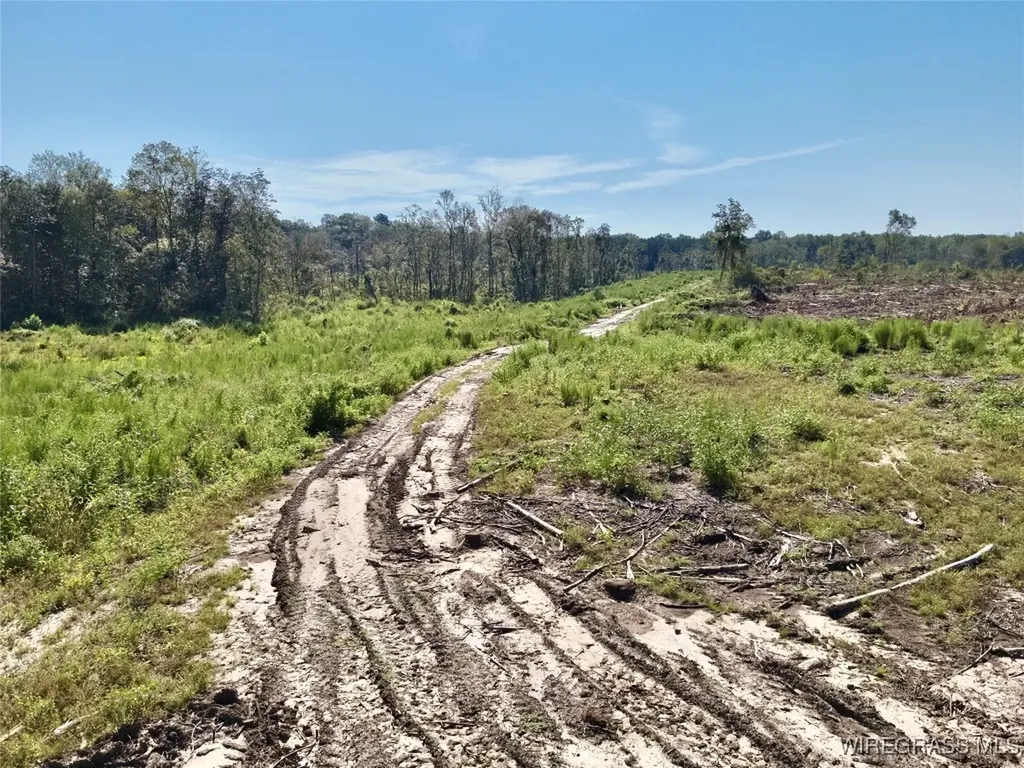 65 Tindil Creek Slocomb AL 36375