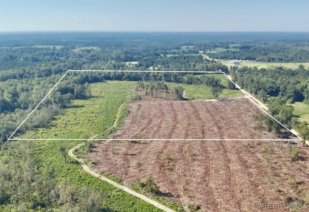65 Tindil Creek Slocomb AL 36375