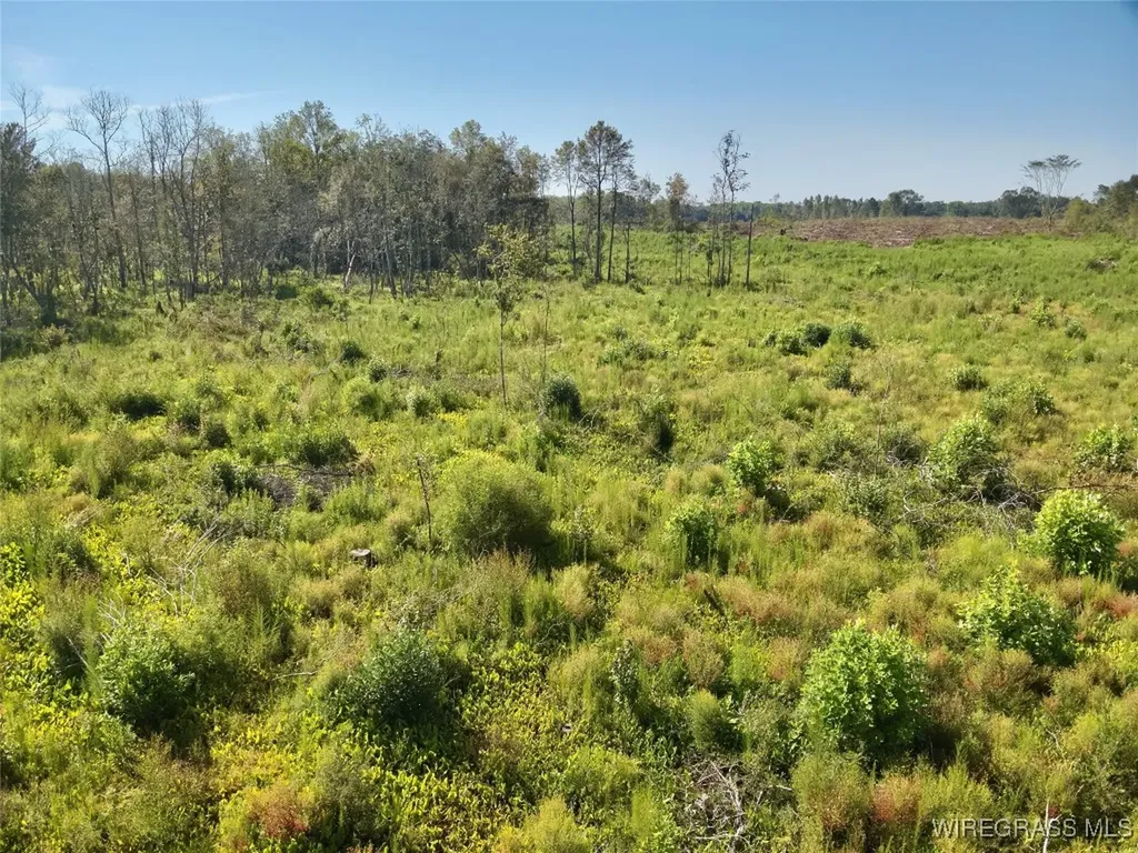 65 Tindil Creek Slocomb AL 36375
