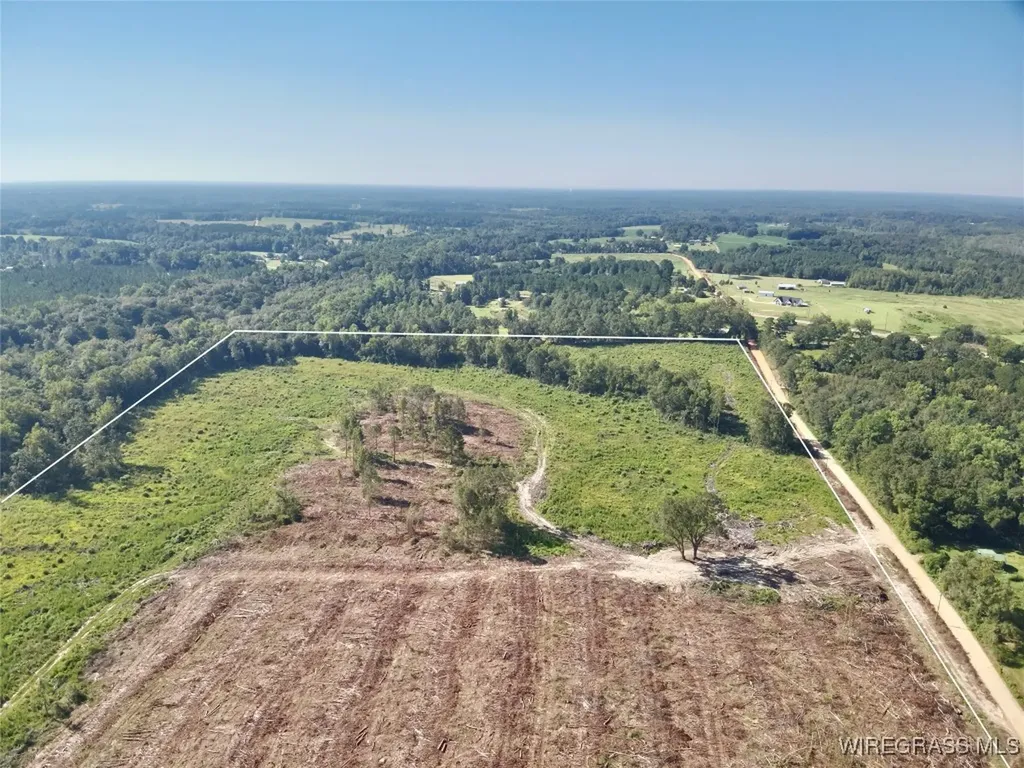 65 Tindil Creek Slocomb AL 36375