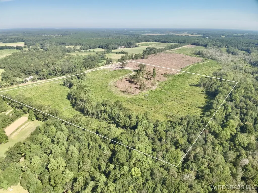65 Tindil Creek Slocomb AL 36375