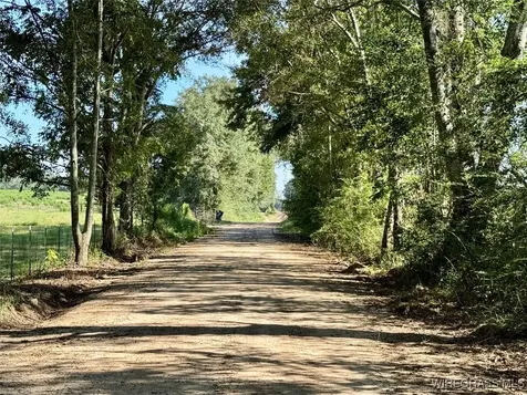 65 Tindil Creek Slocomb AL 36375