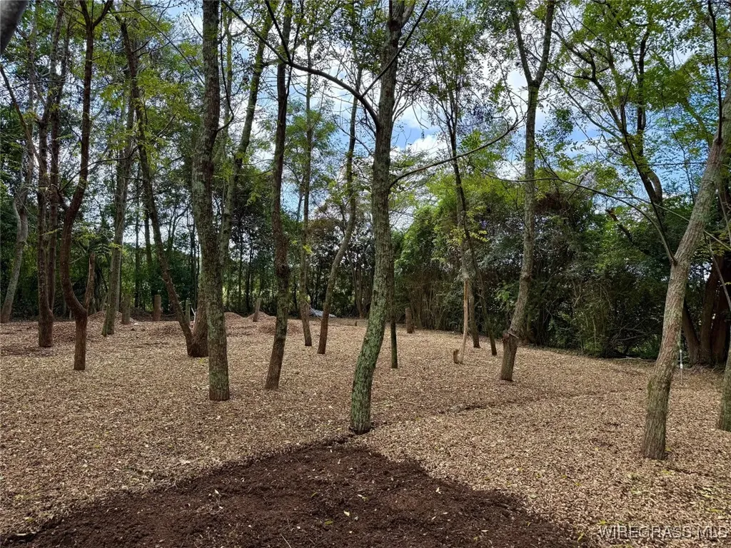 914 C Rowe Road Slocomb AL 36375