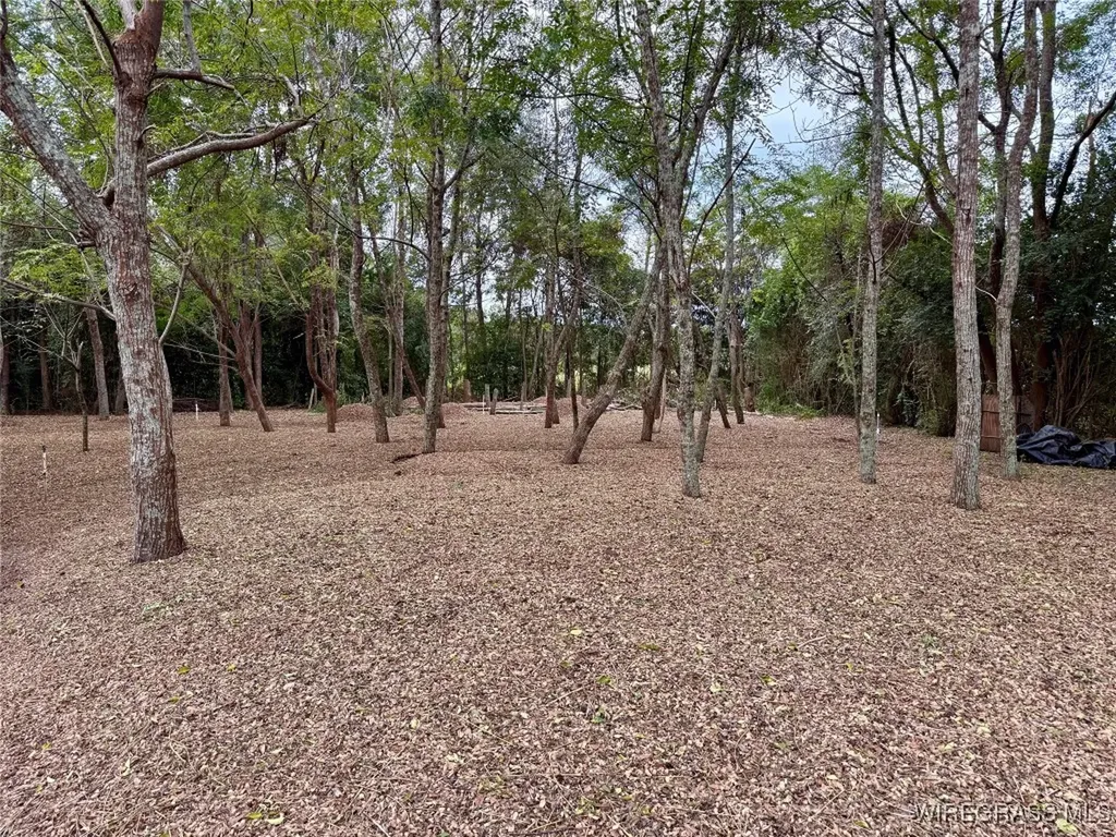 914 C Rowe Road Slocomb AL 36375