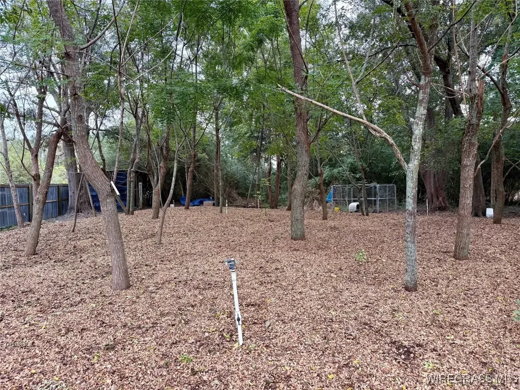 914 C Rowe Road Slocomb AL 36375