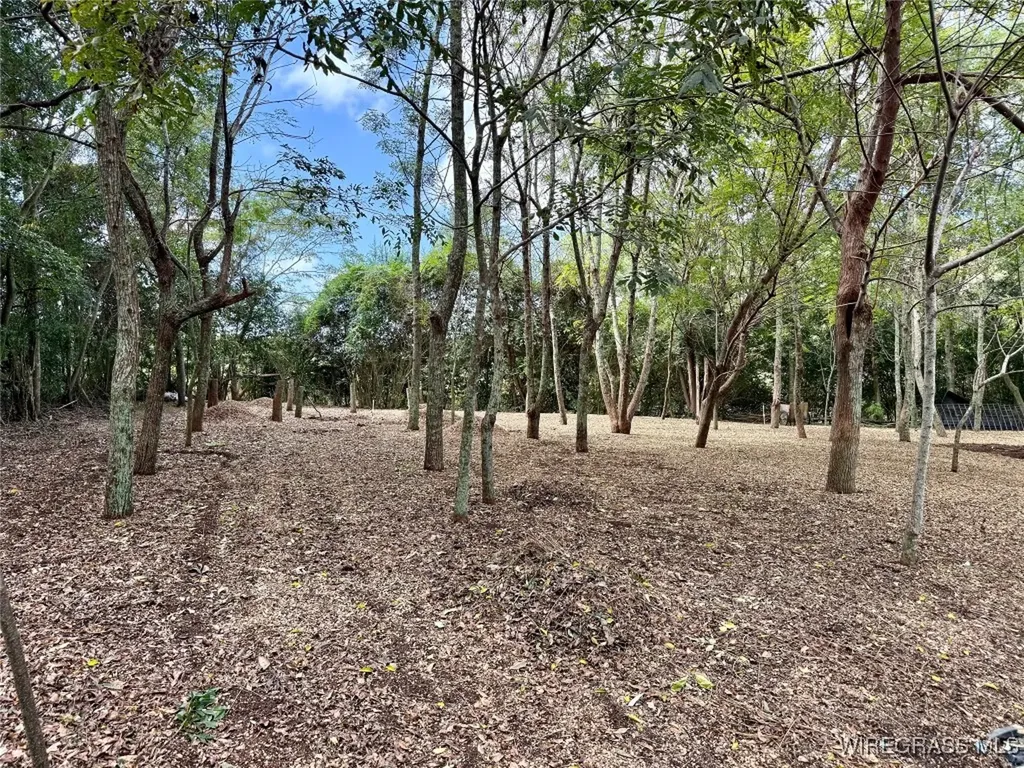 914 C Rowe Road Slocomb AL 36375