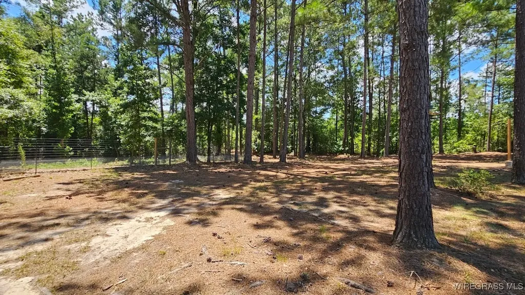 3118 Faust Avenue Ozark AL 36360