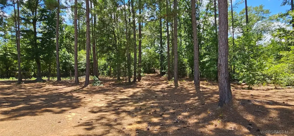 3118 Faust Avenue Ozark AL 36360