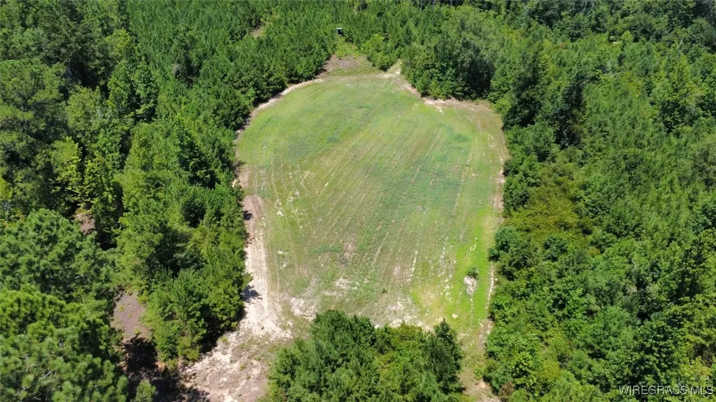 3118 Faust Avenue Ozark AL 36360