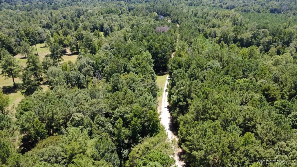 3118 Faust Avenue Ozark AL 36360