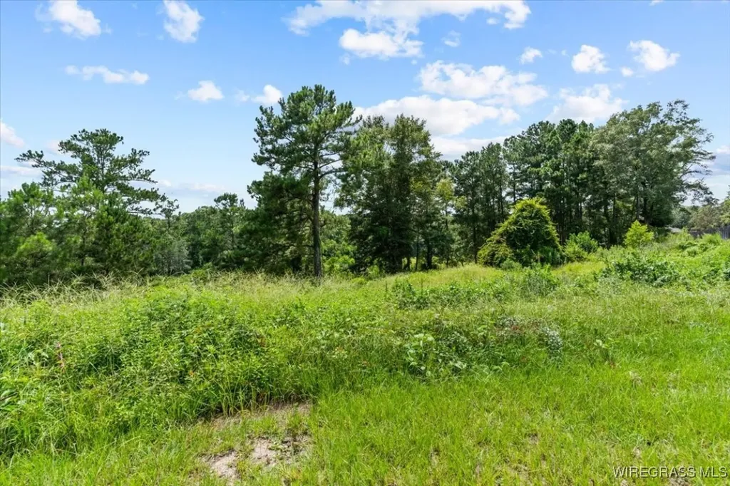 119 Kallie Court Enterprise AL 36330