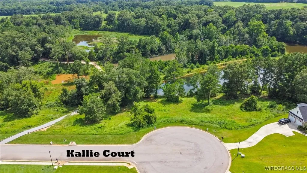 117 Kallie Court Enterprise AL 36330
