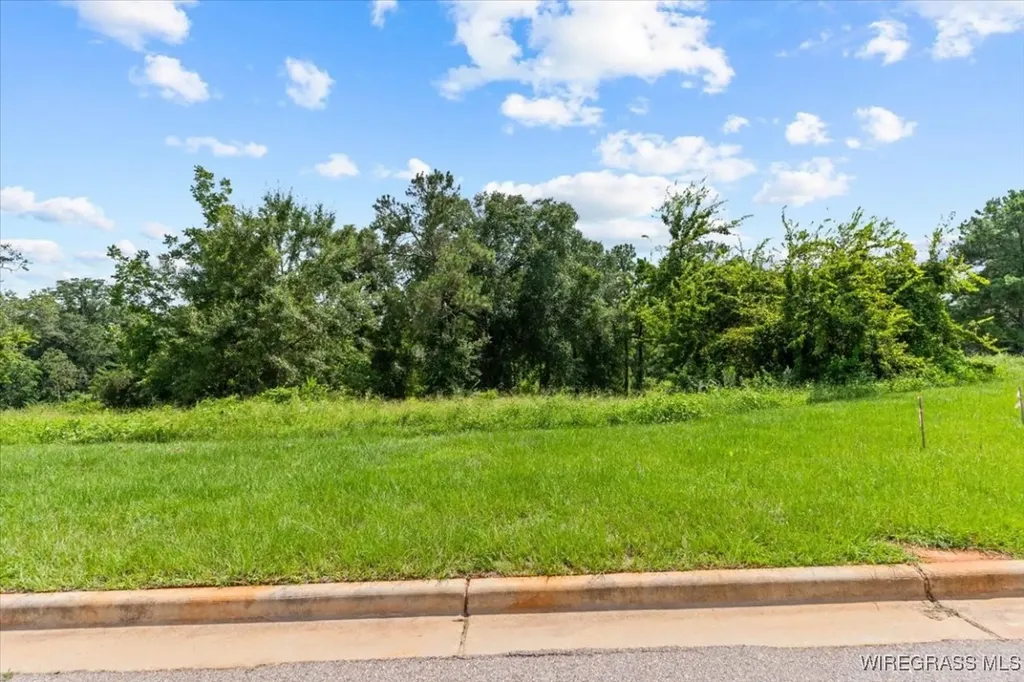 117 Kallie Court Enterprise AL 36330