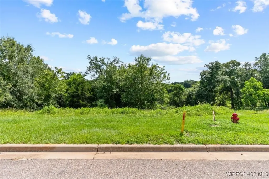 111 Kallie Court Enterprise AL 36330