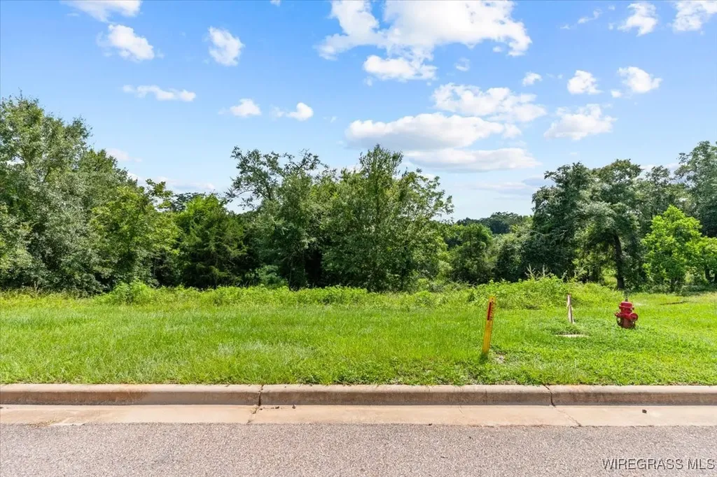 111 Kallie Court Enterprise AL 36330