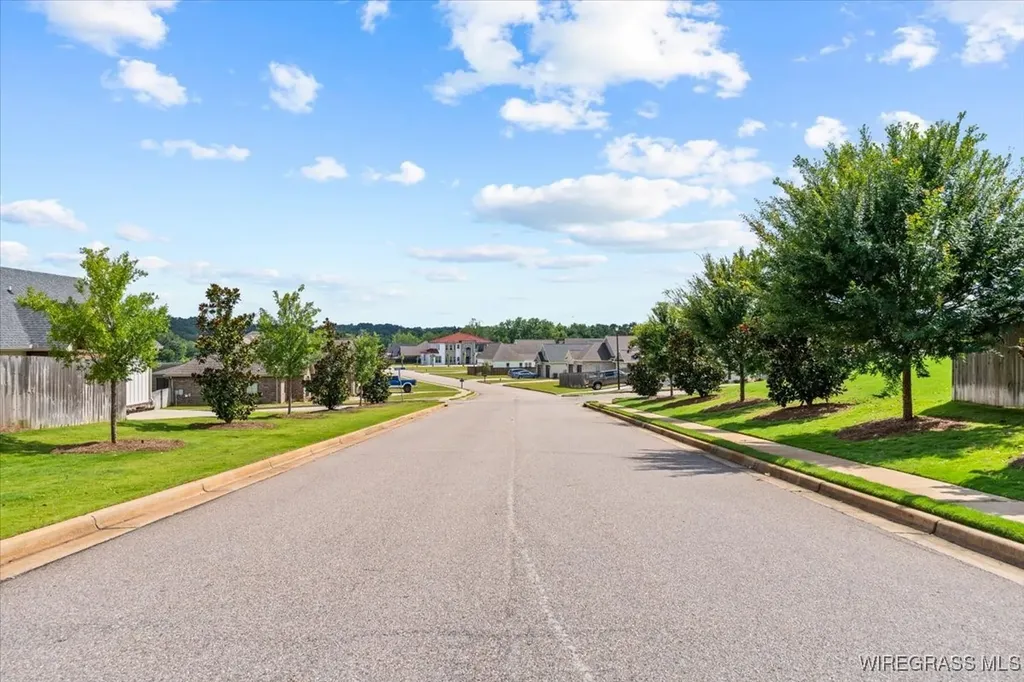 111 Kallie Court Enterprise AL 36330
