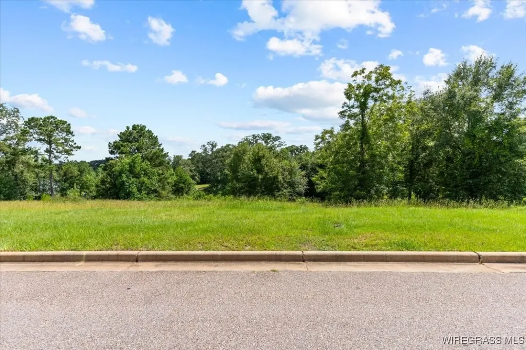 109 Kallie Court Enterprise AL 36330