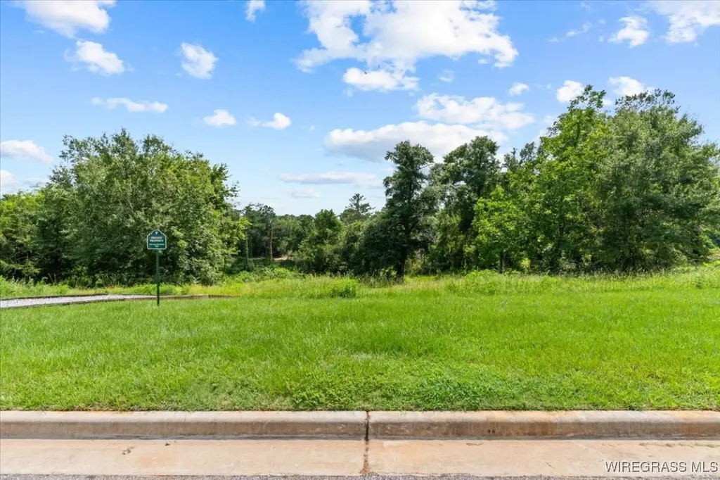 113 Kallie Court Enterprise AL 36330