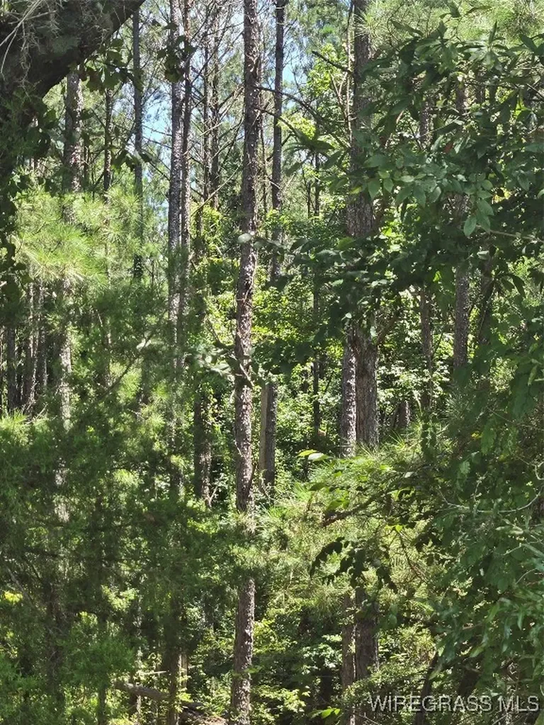 0 County Road 26 Hope Hull AL 36043