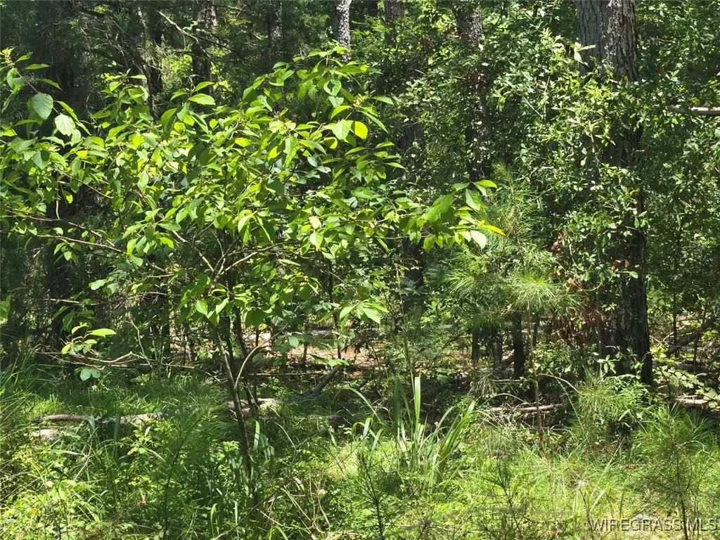 0 County Road 26 Hope Hull AL 36043