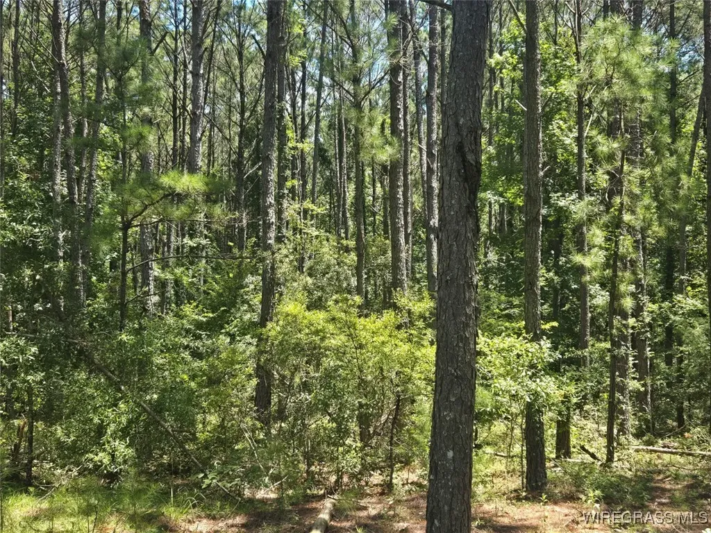 0 County Road 26 Hope Hull AL 36043