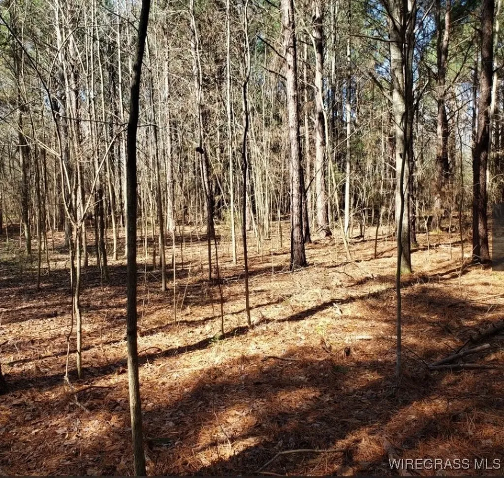 0 County Road 26 Hope Hull AL 36043