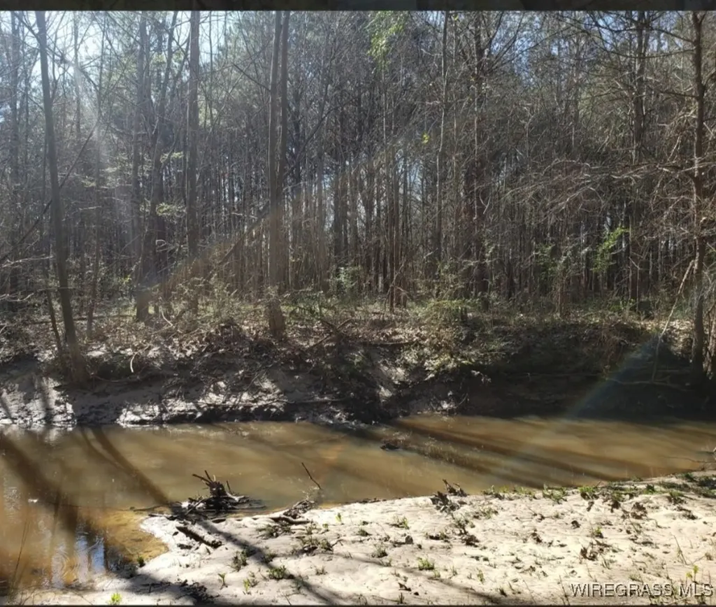 0 County Road 26 Hope Hull AL 36043