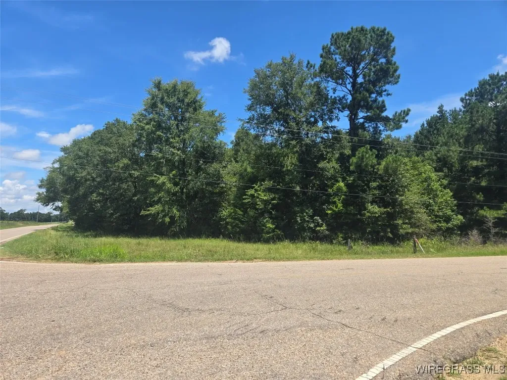 0 County Road 26 Hope Hull AL 36043