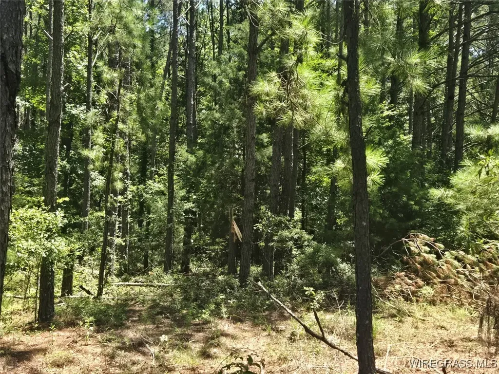 0 County Road 26 Hope Hull AL 36043