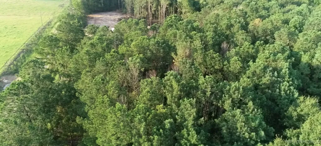 0 County Road 26 Hope Hull AL 36043